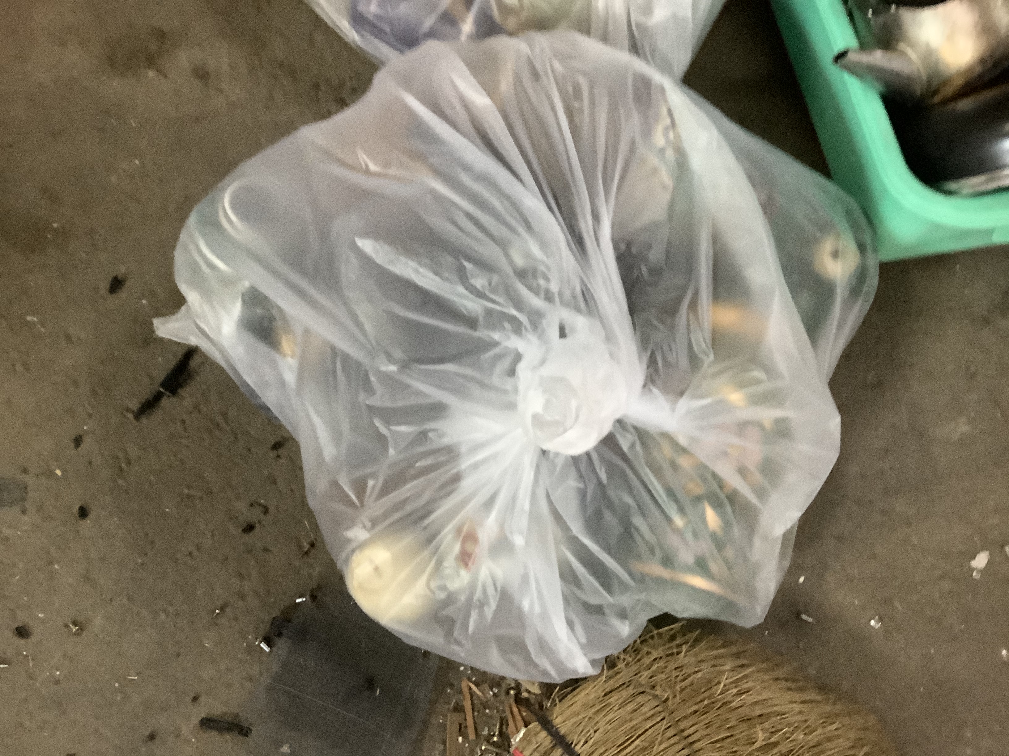 倉敷市玉島で回収した袋ゴミ