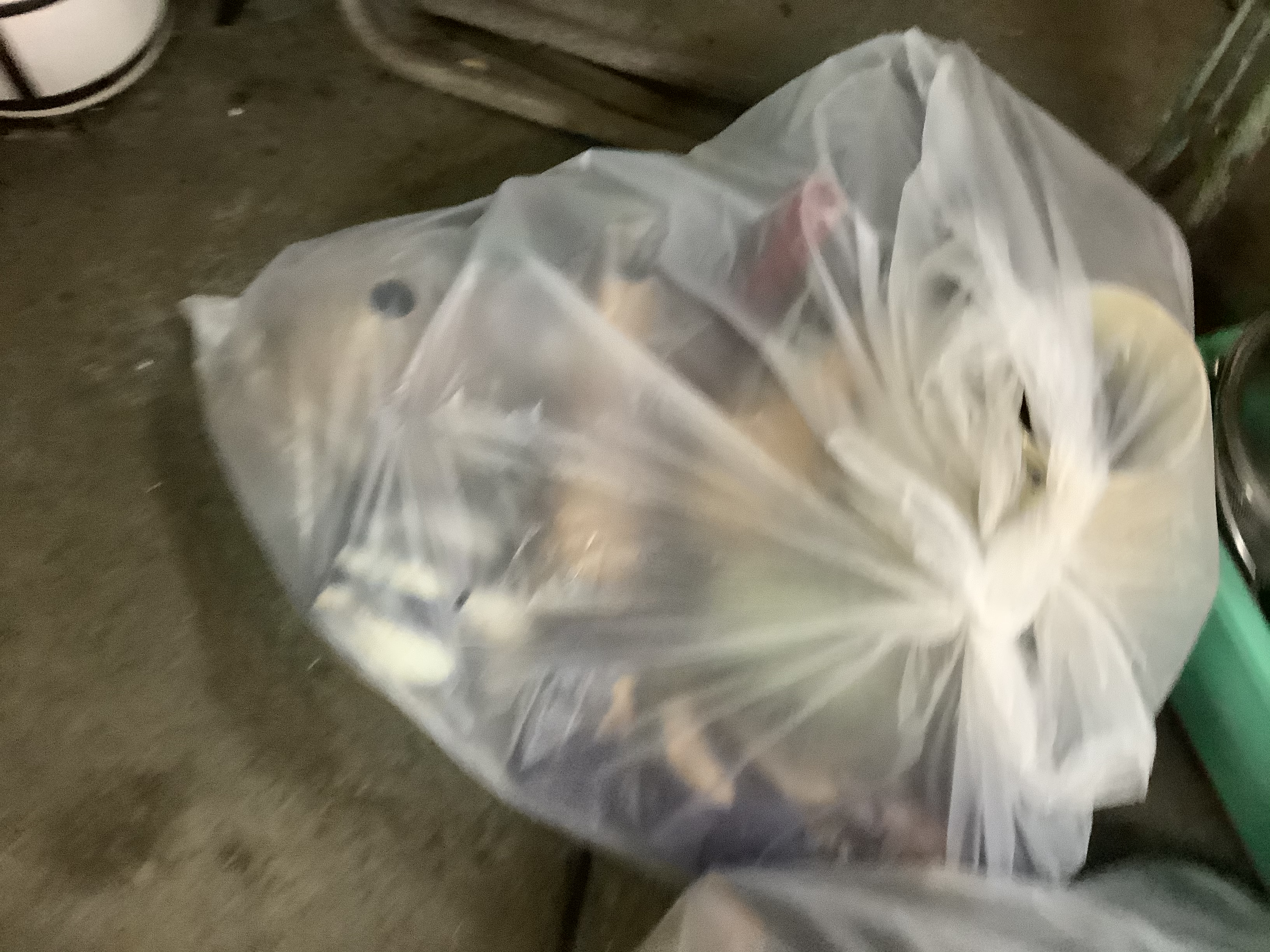 倉敷市玉島で回収した袋ゴミ
